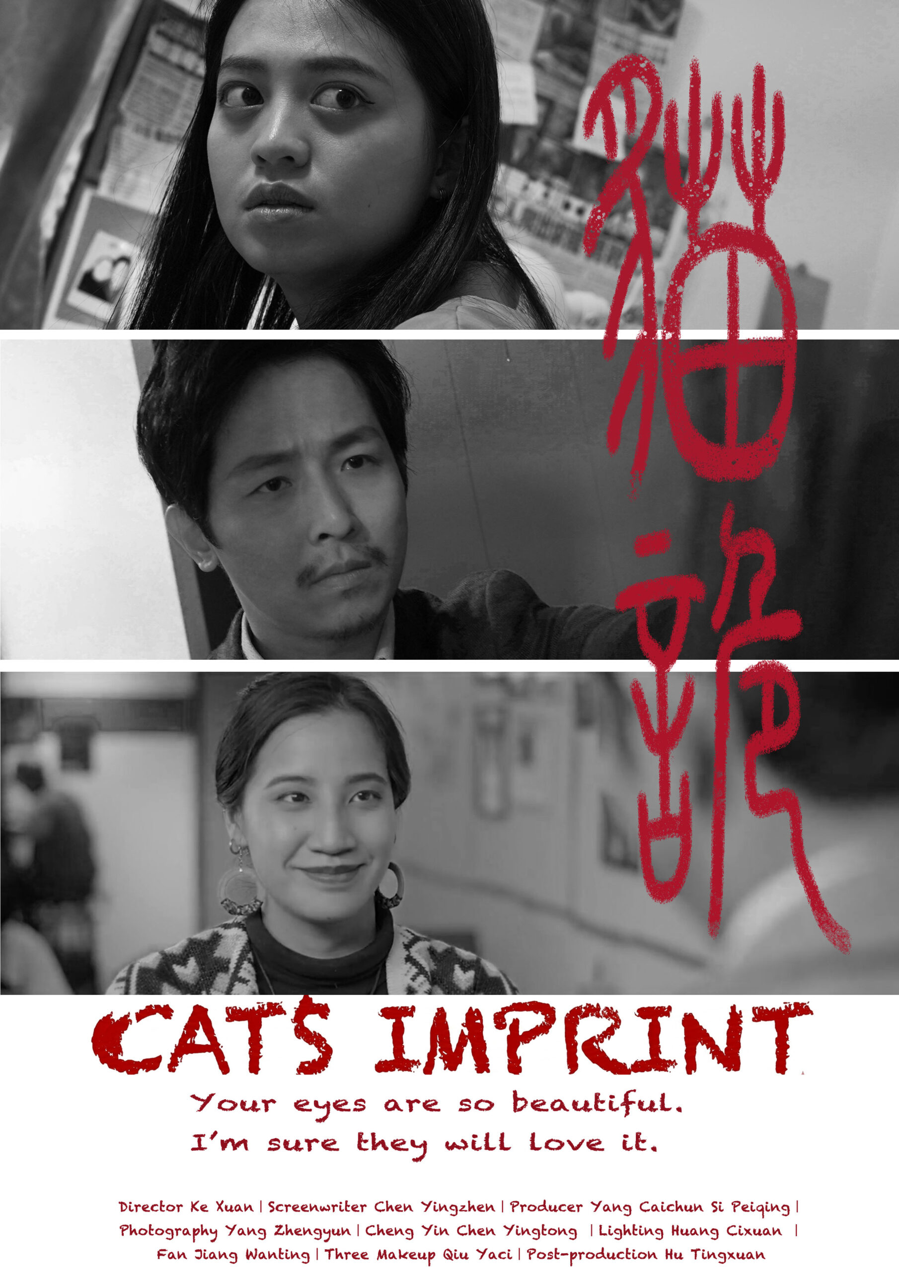 video-section-banner-image