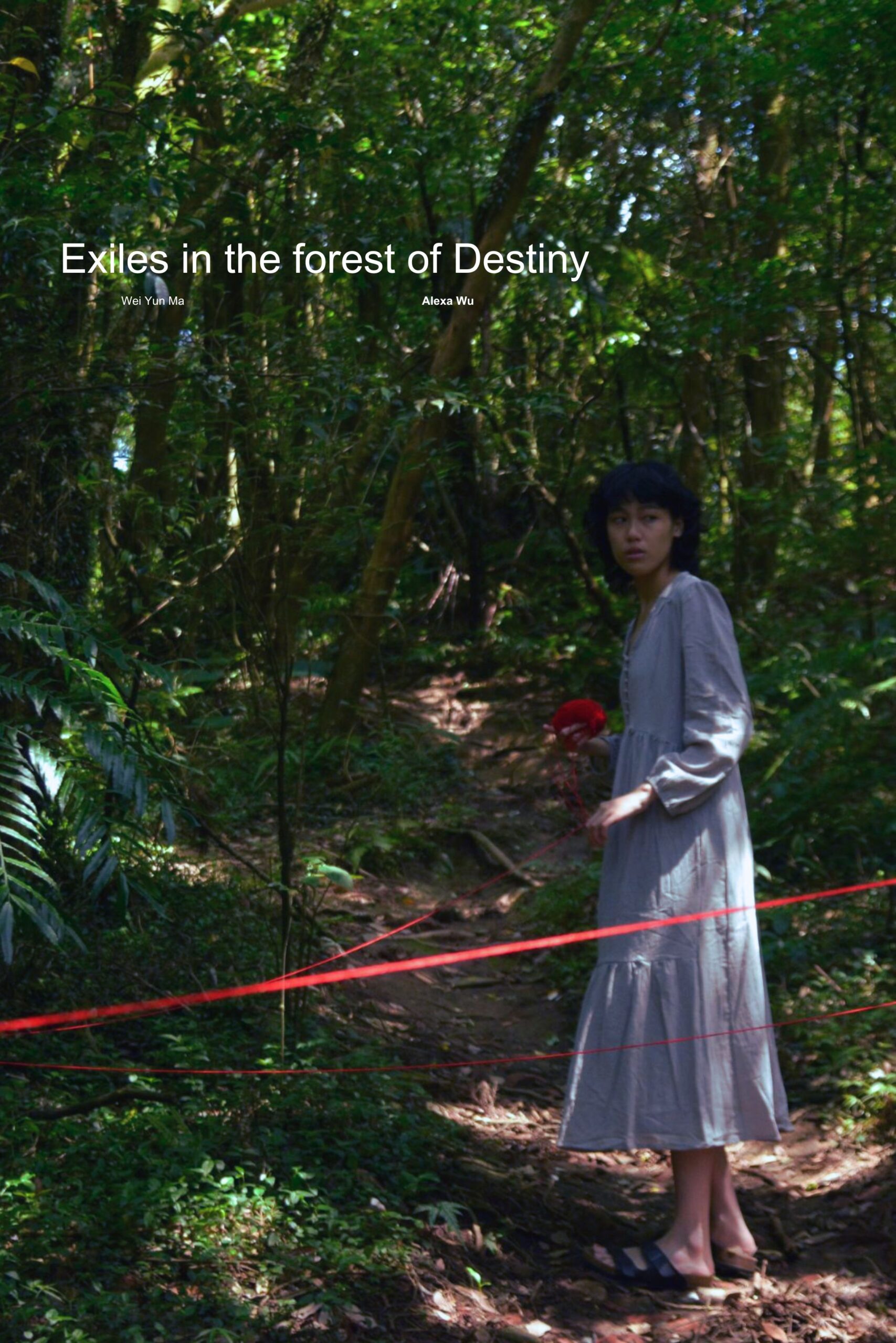 video-section-banner-image
